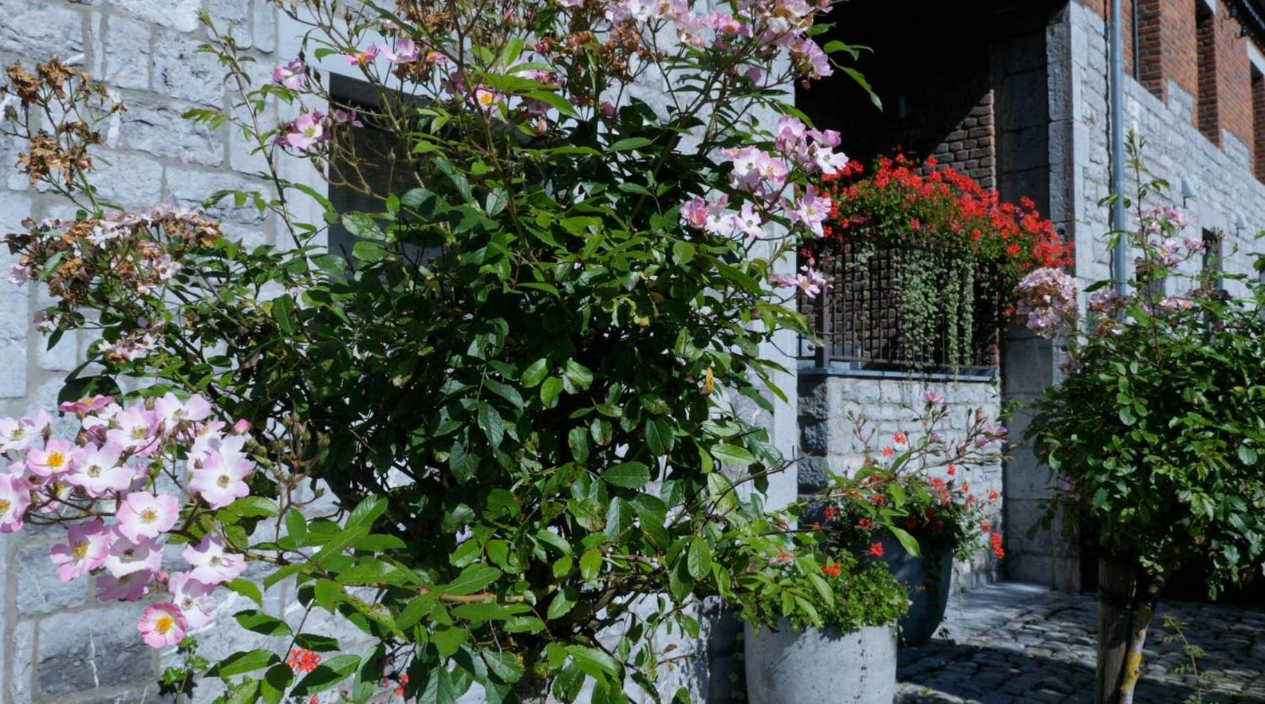 Gites Ferme De La Barriere Chimay Exteriör bild